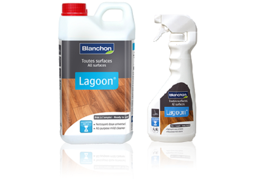Blanchon Lagoon Cleaner