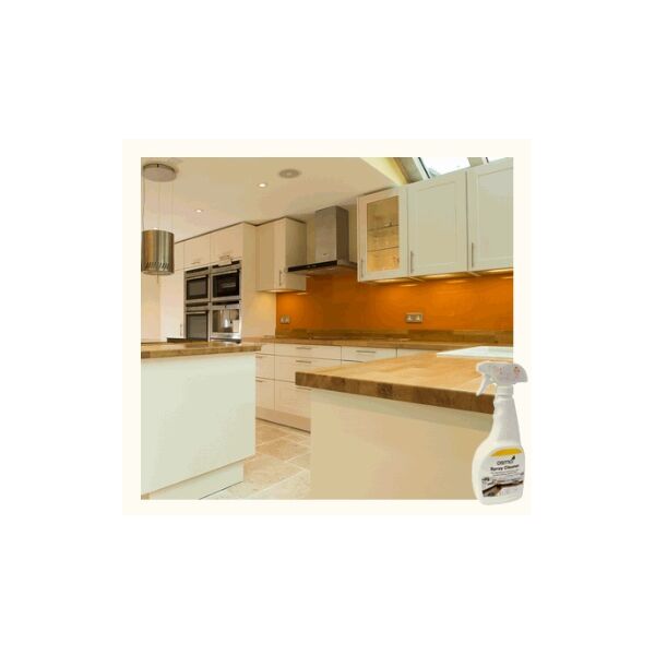 Osmo Spray Cleaner 500ml